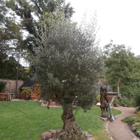 شقة Saaleblick Halle (Saale)