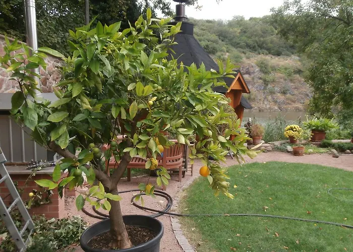 Saaleblick Daire Halle (Saale)